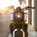 Motodemic Adaptive LED Headlight Upgrade for the Triumph Trident 660 Motodemic Adaptive LED Headlight Upgrade for the Triumph Trident 660